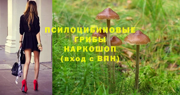 альфа пвп Новосибирск