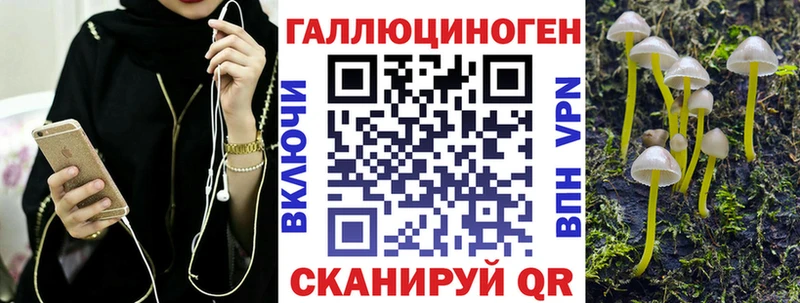 дарнет шоп  Алдан  Псилоцибиновые грибы MAGIC MUSHROOMS 